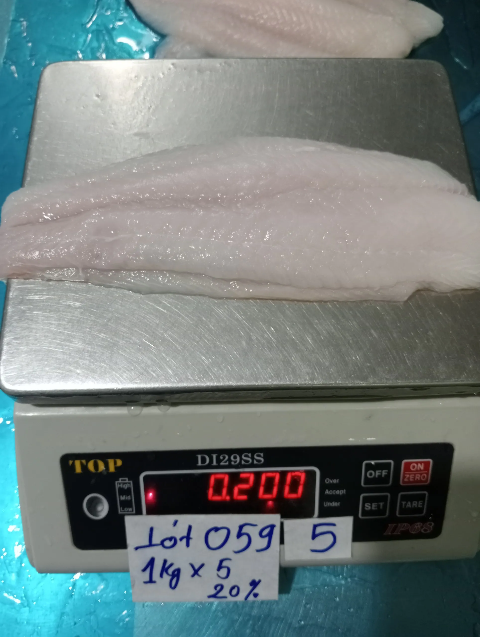 Best quality Seafood Pangasius/ Basa fillet from VietNam