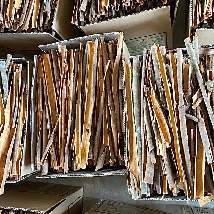 High Grade Single Species Cinnamon Split Whole Sale Price Delicious Taste from Vietnam