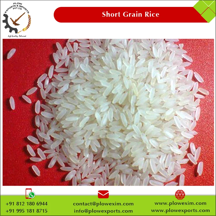 India Manufacture Short Grain Raw Rice Swarna Rice 5% Broken Short Grain Swarna Rice