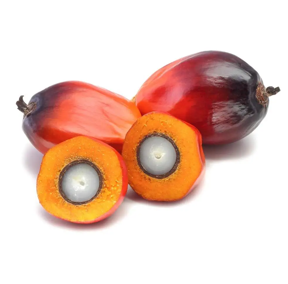 Palm Oil,Refined Palm Oil,Crude Palm Oil 100% Refined Palm oil