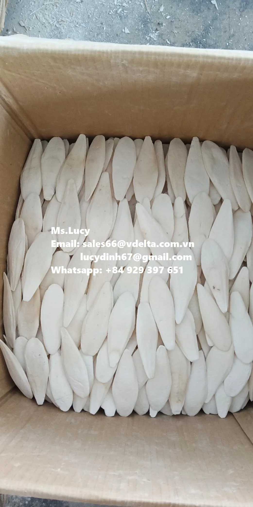  Хит продаж кости для морской слепки из Вьетнама Whatsapp + 84929397651