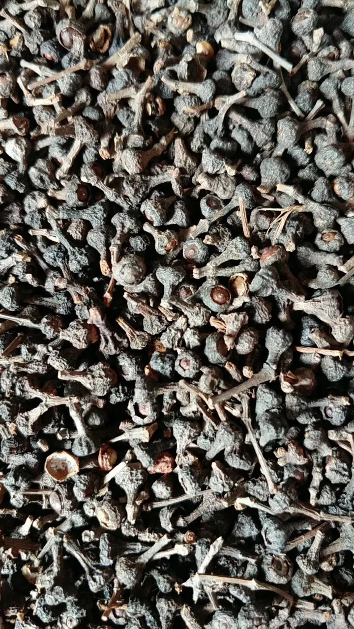 Лучшее качество сухие гвоздики специи многоцелевые экспортеры специй бутоны производитель из Вьетнама