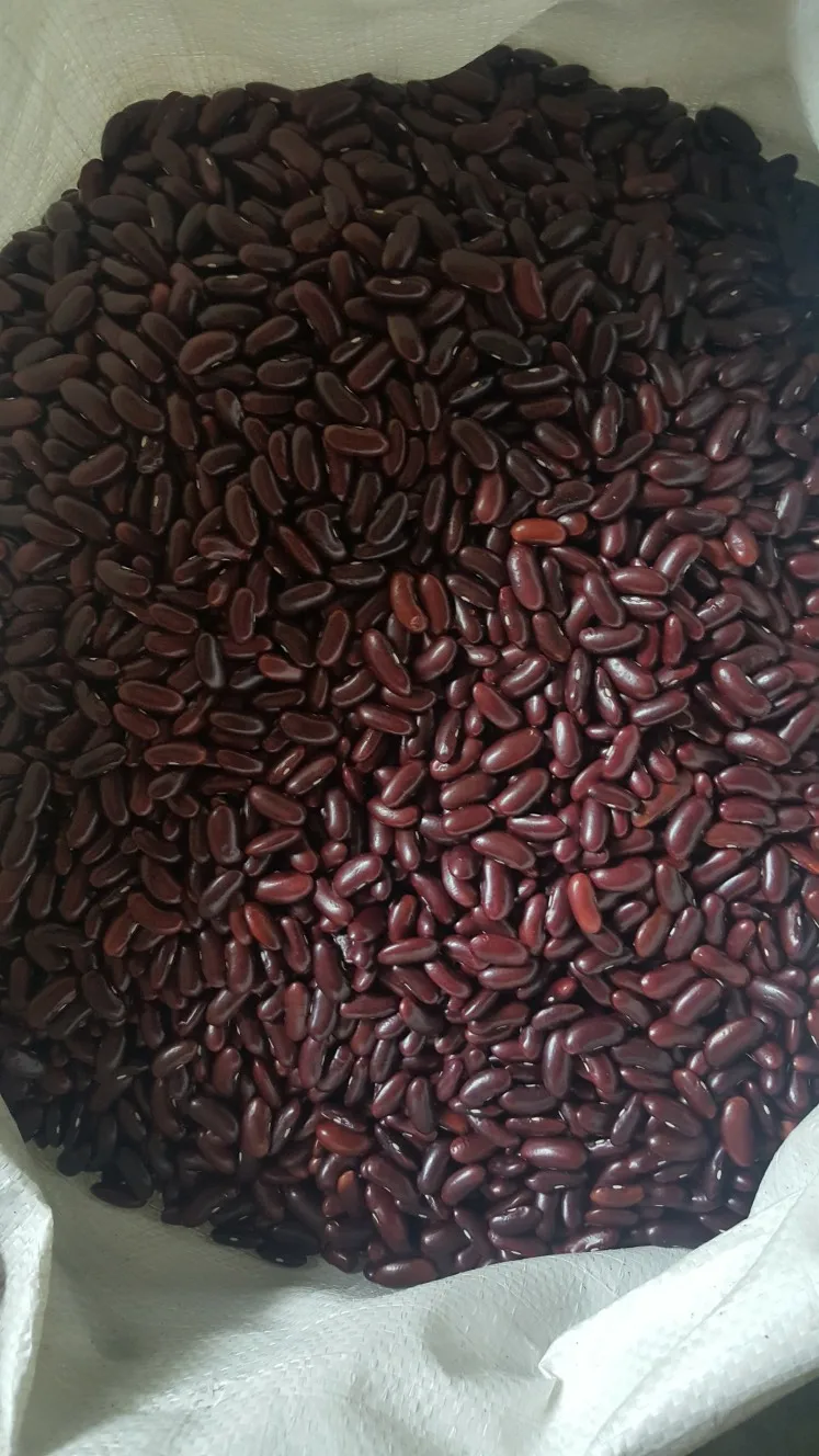Organic Dark Red Kidney Beans with high quality from Viet Nam - Sven +84 966722357