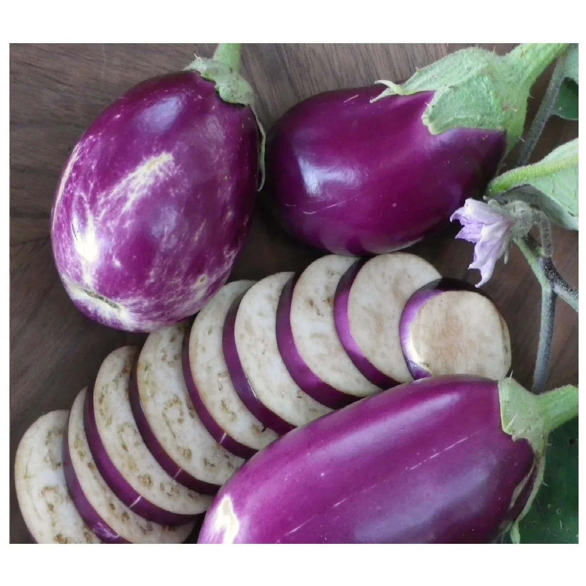 
FRESH PURPLE EGGPLANT VIETNAM FOR MAKING POWDER [Edna +84 919 04 5050] 
