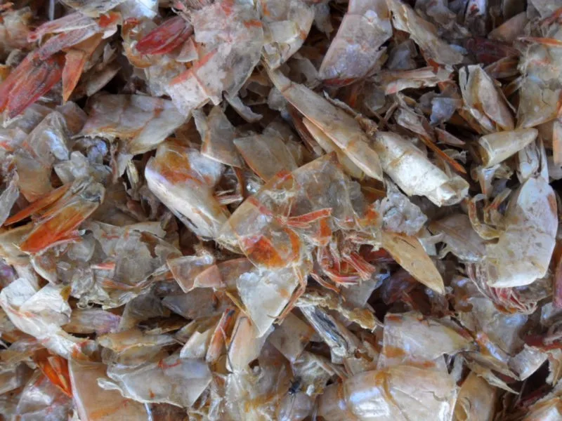 DRIED SHRIMP SHELL / SHRIMP HEAD POWDER from VIETNAM DRIED SHRIMP SHELL POWDER WITH HIGH PROTEIN CONTENT FOR ANIMAL