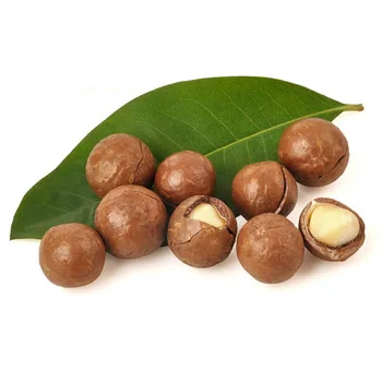 
cheap and competitive price Macadamia Nuts In shell, Kernels/Organic Macadamia Origin Brazil 
