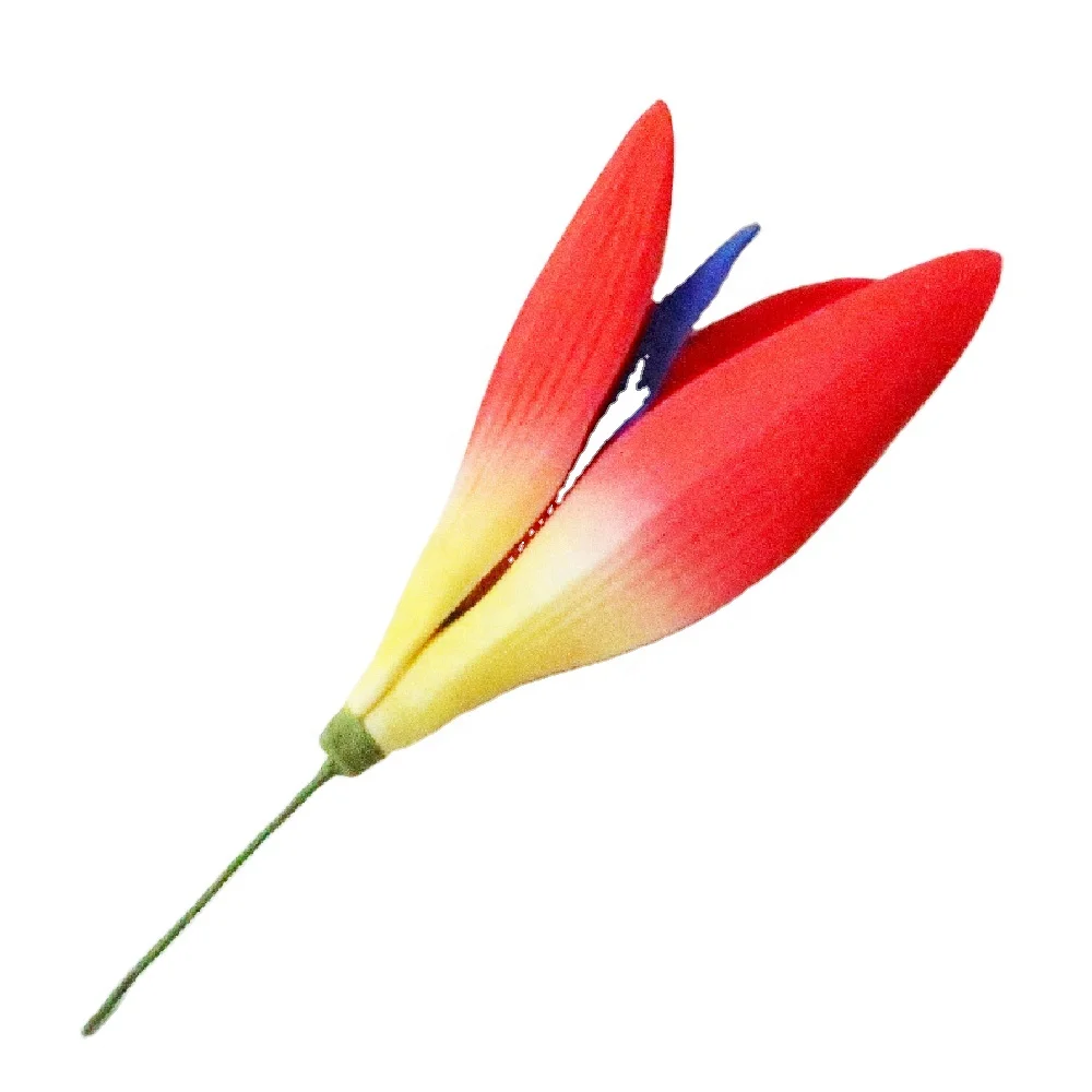 Гавайская птица из вспененного этилвинилацетата ручной работы райский цветок с распылителем специального цветного узора головка цветка и наушник