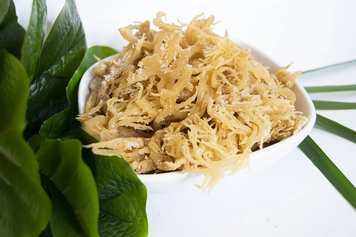 Айзермох из Вьетнама по лучшей цене Ms Sofia + 84 789 946 878