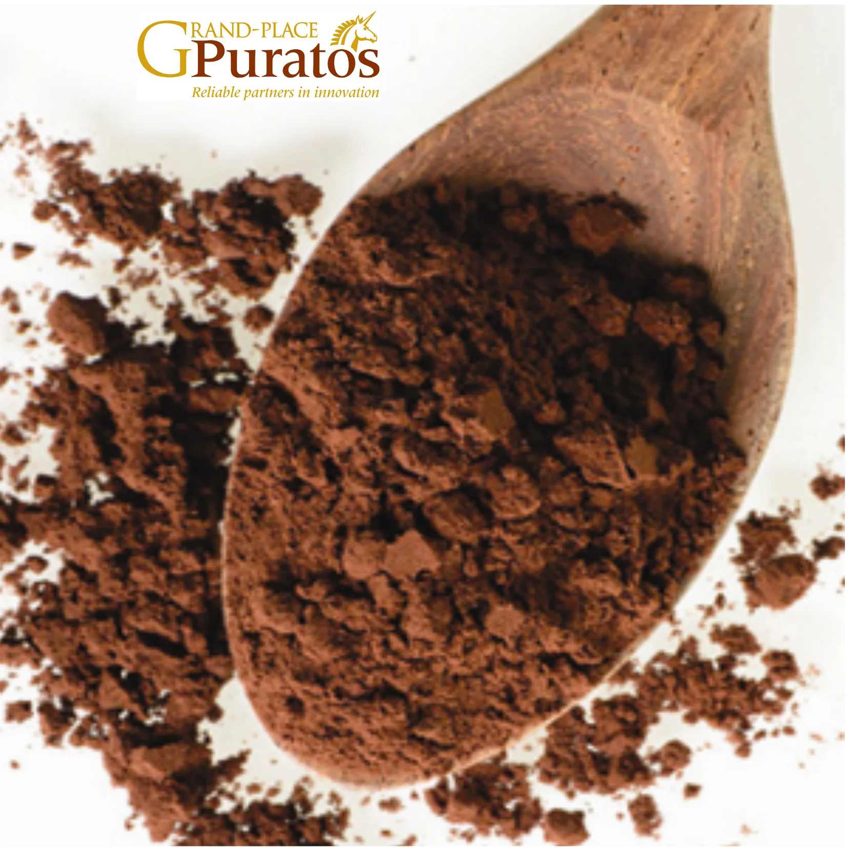 Low fat 100% pure raw cocoa powder with best price