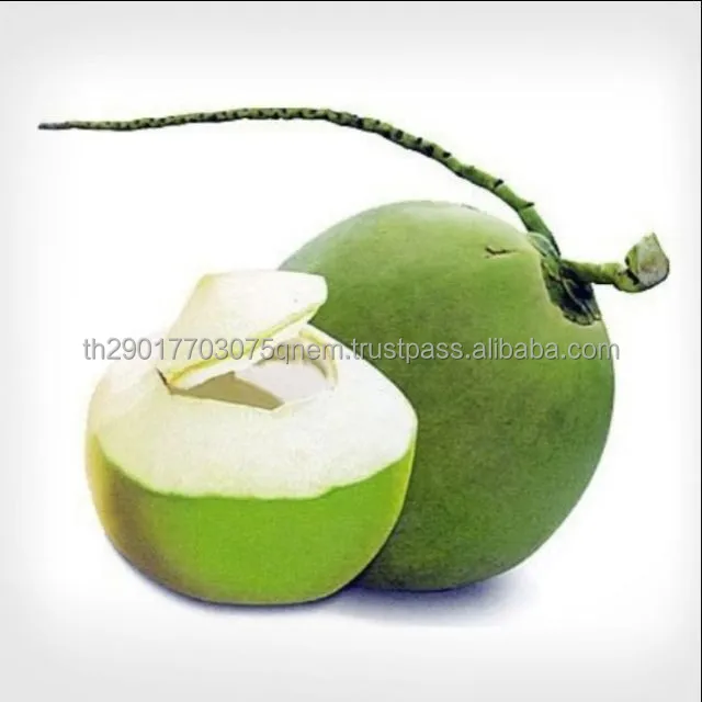 Premium Grade 100% Natural Coconut Young Coconut Fruit From Thailand
