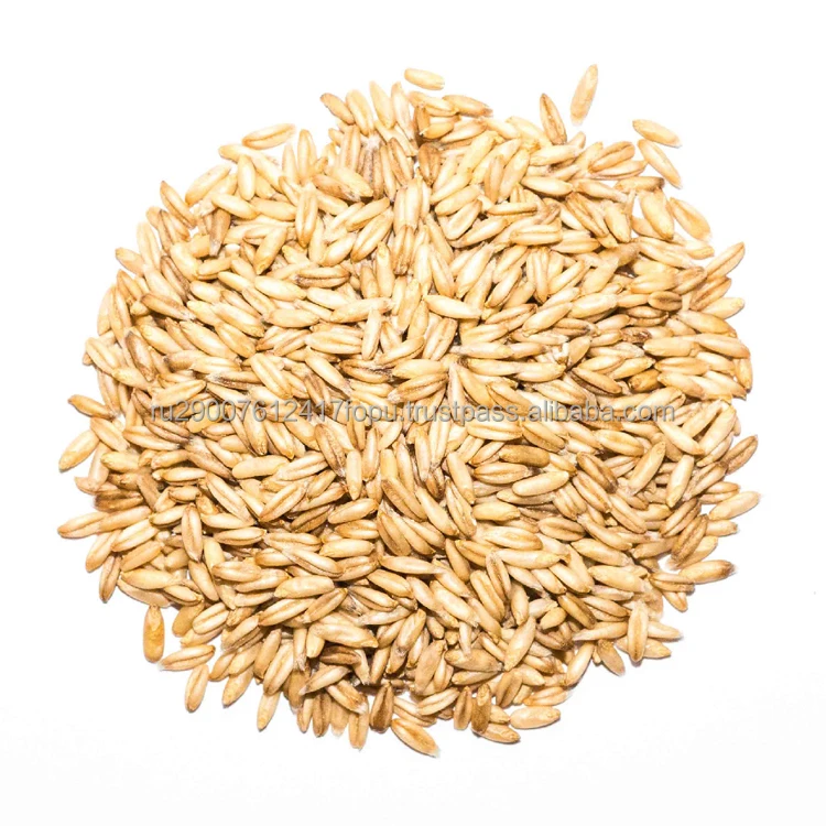 Oats 1-4 classes with worldwide delivery in grain carriers, covered wagons or containers wholesale, oats