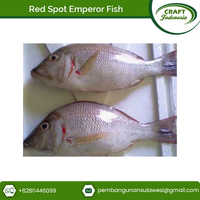 Quality Certified Frozen Red Spot Emperor Fish Fillet from Leading Seller
