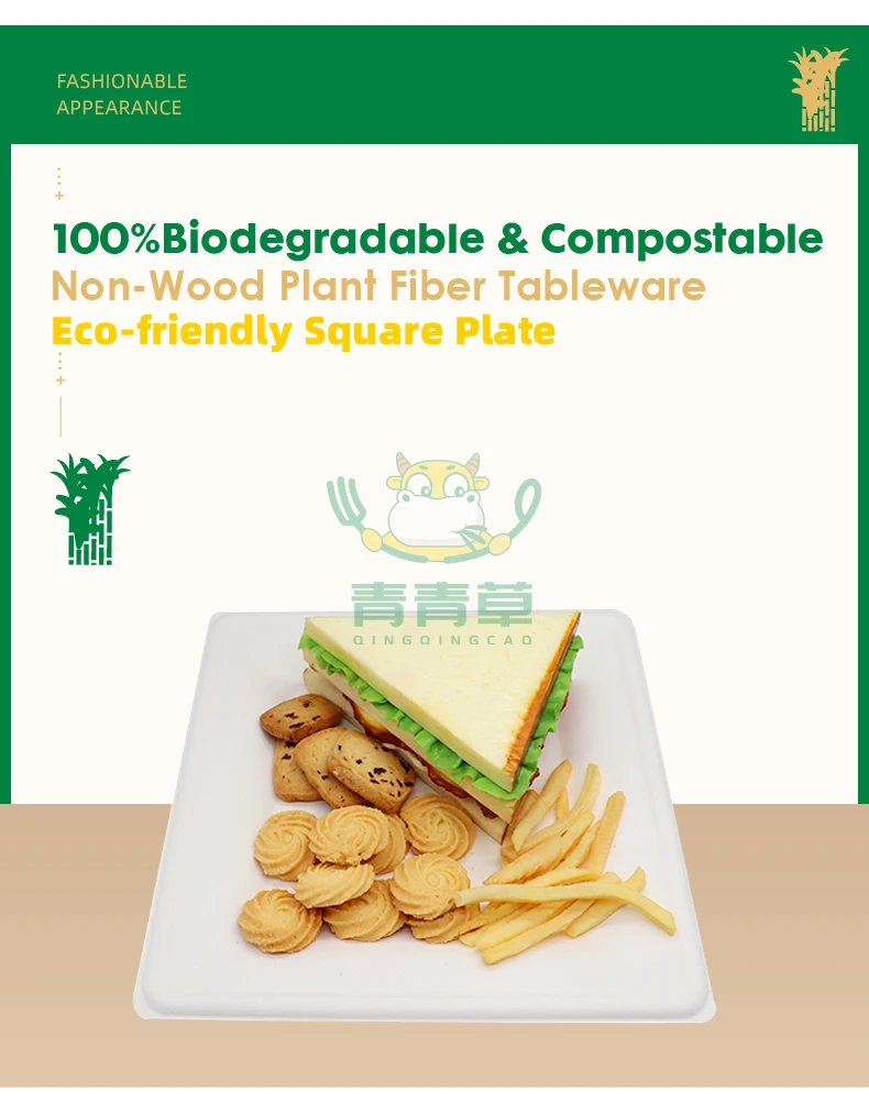 
10inch Compostable Biodegradable bagasse pulp sugarcane tableware plate bowl food tray 