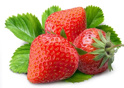 Export Grade Strawberry Premium grade from Thailand by SP Organic International Best Seller