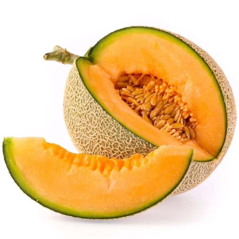 Musk Melon Seed Oil - Pure Carrier Oil