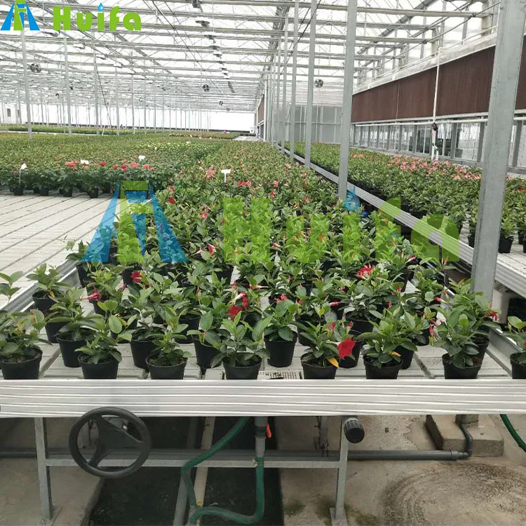 New type Hydroponic Grow Systems Film 30 X 100 Greenhouse Ebb And Flow Rolling Table for Greenhouse planting