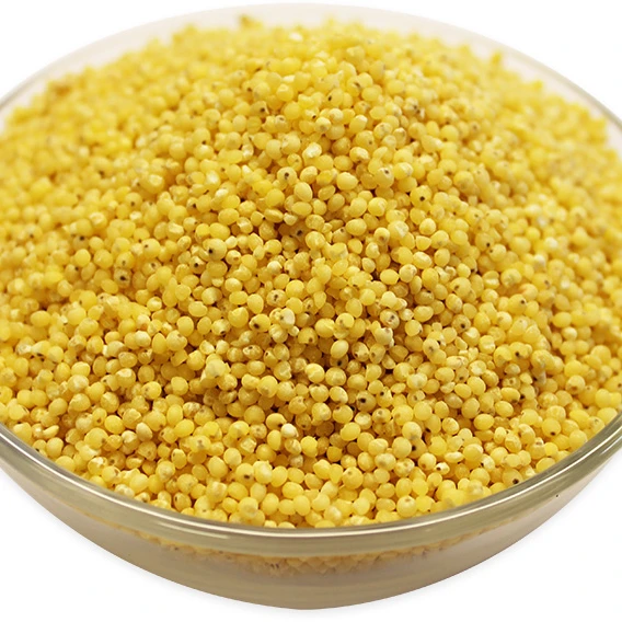 
 Органический лисий хвост проса, насыщенный белком, безглютеновое зерно желтого проса для завтрака  