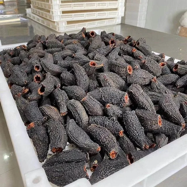 Sea Cucumber Buy Holothuria Spinifera Online | Buy Dried Sea Cucumber