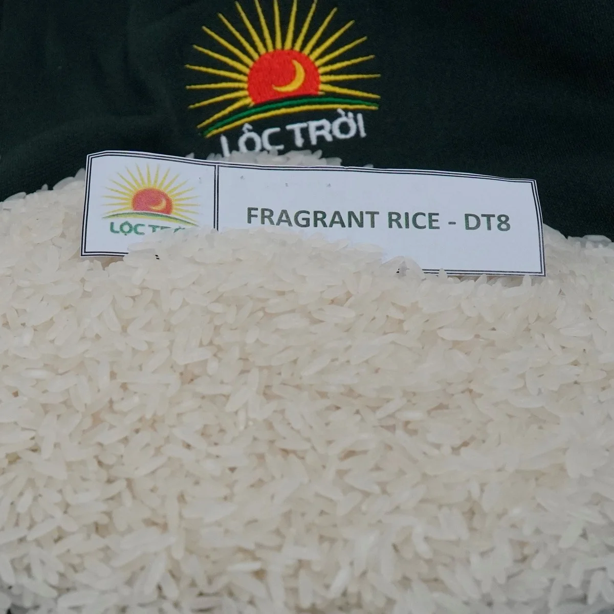 Top Export Long Grain Fragrant Rice/White Rice DT8 Variety from Vietnam Best Supplier Contact us for Best Price
