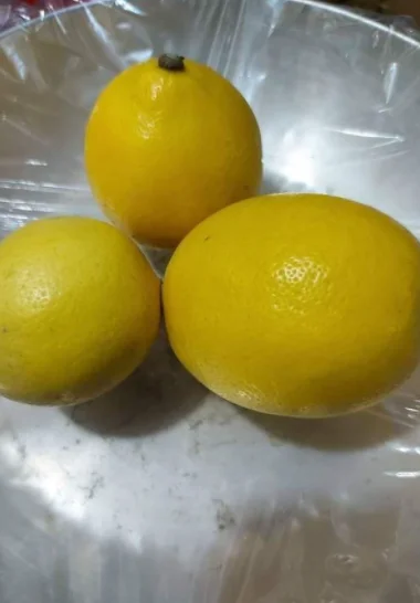 HIGH QUALITY Fresh Lemon - TURKEY (Antalya) 2022