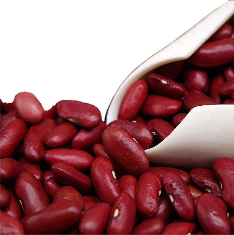 Red Kidney Beans  Yunnan Red Kidney Beans For Canned Purple Kidney Bean for sale