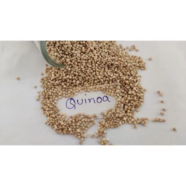  Цена экспортного качества Оптовая поставка белых сырых семян Quinoa высокий уровень