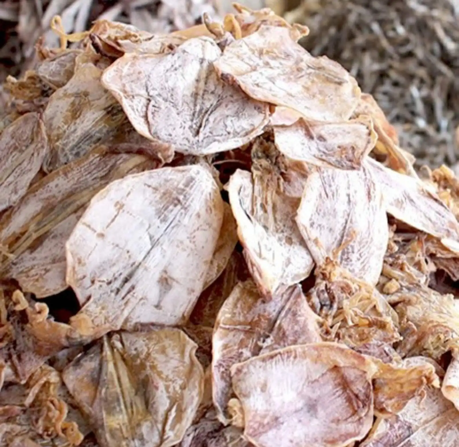 Dried seafood octopus 1 Pound (454 grams) from Binh Dinh (Viet Nam ) - NATURAL THE LOWEST DRIED OCTOPUS VIET NAM