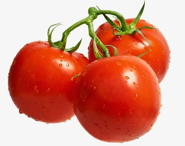 Fresh Tomatoes Red Green Cherry Style Organic Tomatoes Red Color Cardboard Boxes Plastic Crates