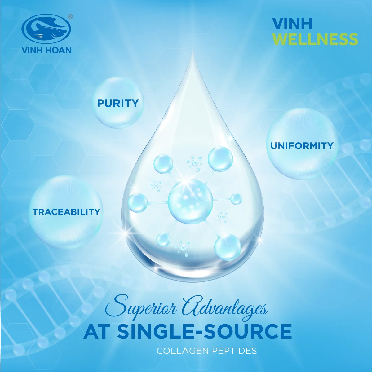 Vinh Wellness Nano Collagen Pep V (500 DA). Collagen from Single-source. Get quote now