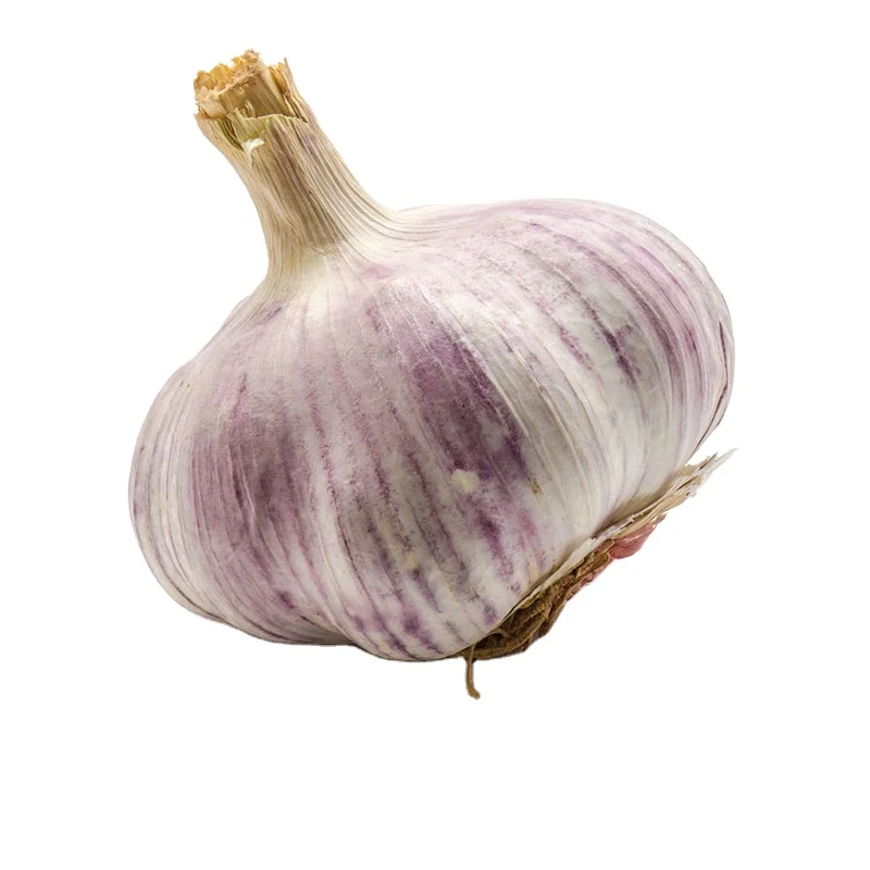  2021 новый урожай свежего чеснока оптом Обычный белый для оптовой продажи Лидер продаж