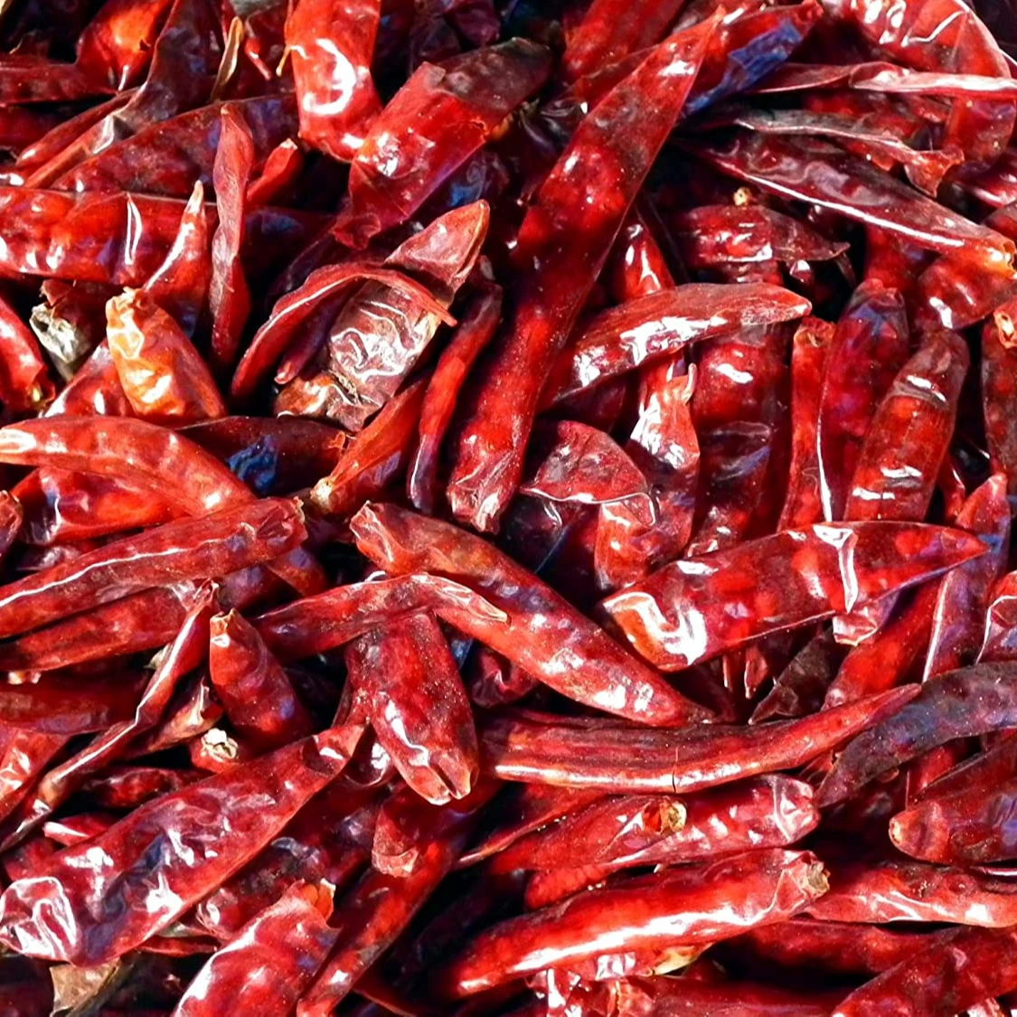 
 Лидер продаж, сухой красный чили, 100% сухой органический перец чили из Вьетнама Agri  