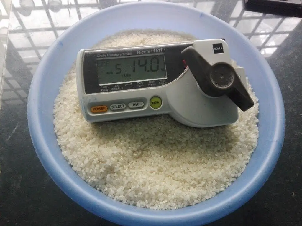  Жасмин/японская/черная/красная/коричневая/КДМ рис для ОАЭ рынка с высоким качеством и конкурентоспособной ценой всех импортеров