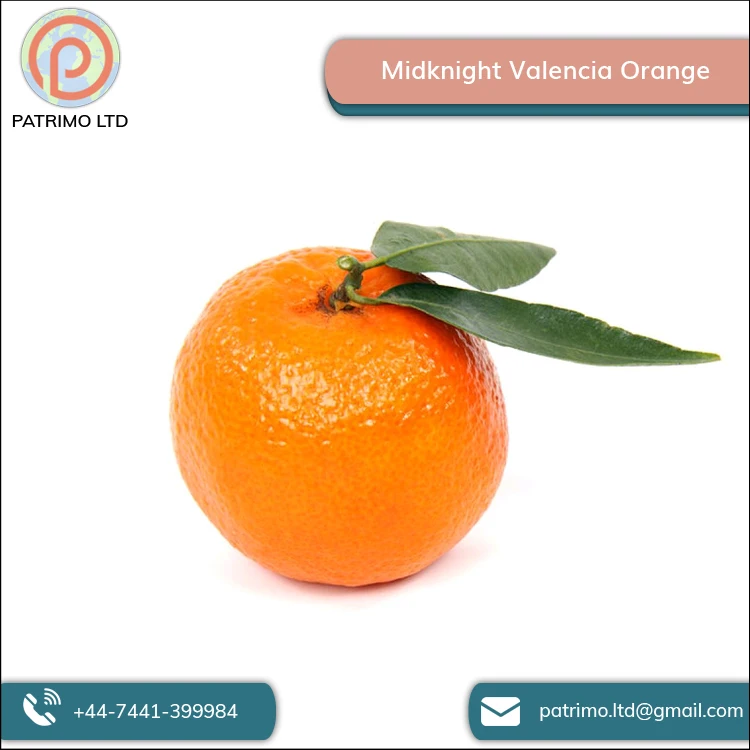 Высококачественный вкусный вкус Midknight Valencia Orange от оптового поставщика