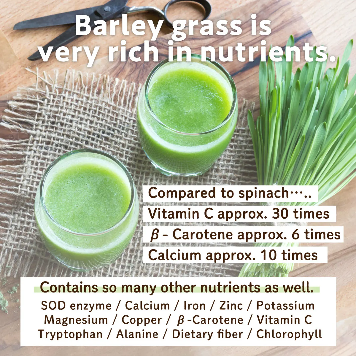 Organic green barley grass juice powder 150g