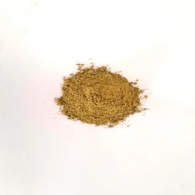 Mentha Arvensis - Mint - Mentha -Pudina Powder Many Stomach Disorders Inflammation And Treatment Of Fever Headache Cold