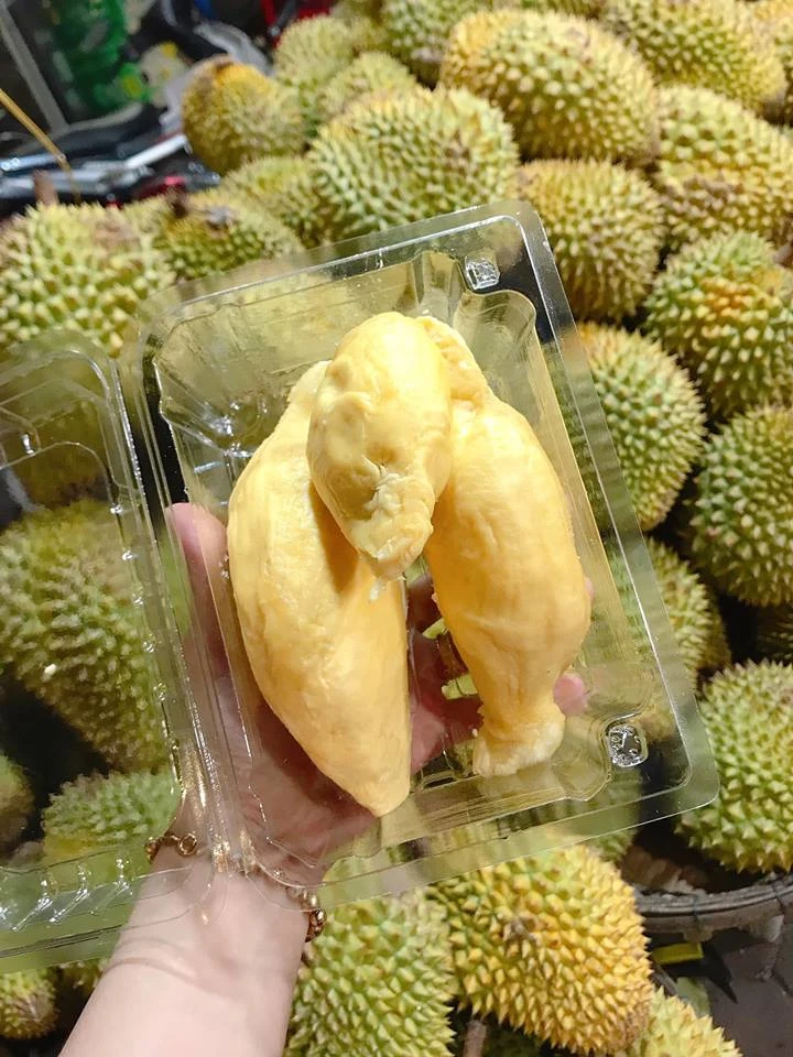 DURIAN FRUIT - DURIAN NUTRION - VIETNAM DURIAN FRUIT PRICE