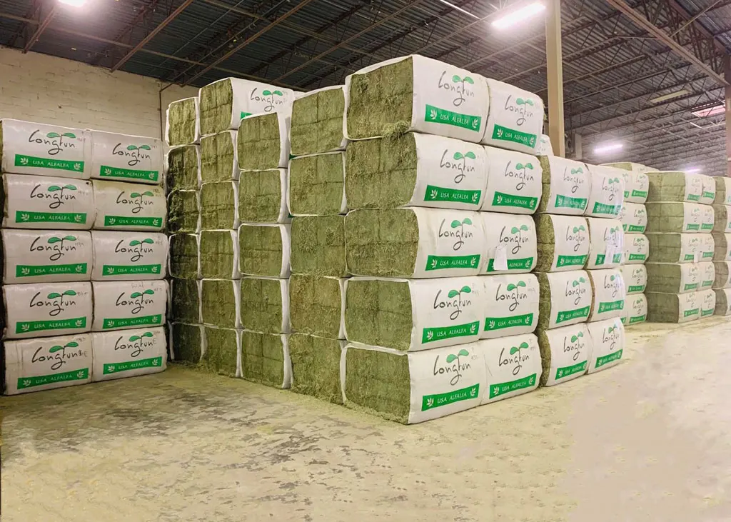  Alfafa Hay7.jpeg