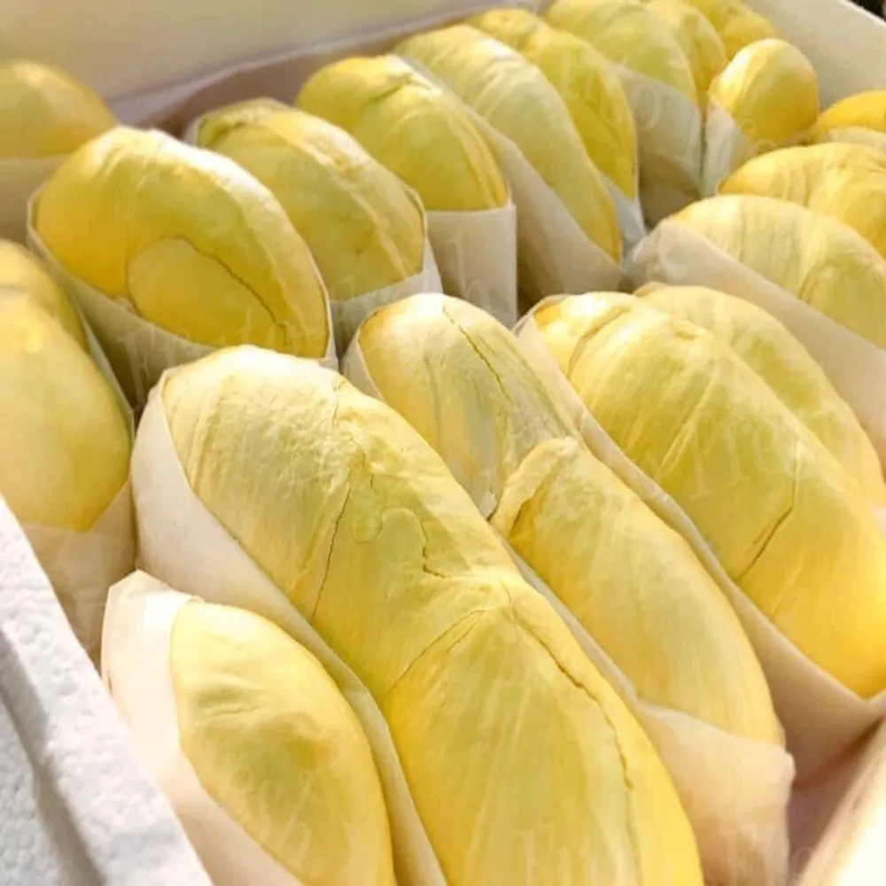 
Durians Fresh Fruit with High Quality 