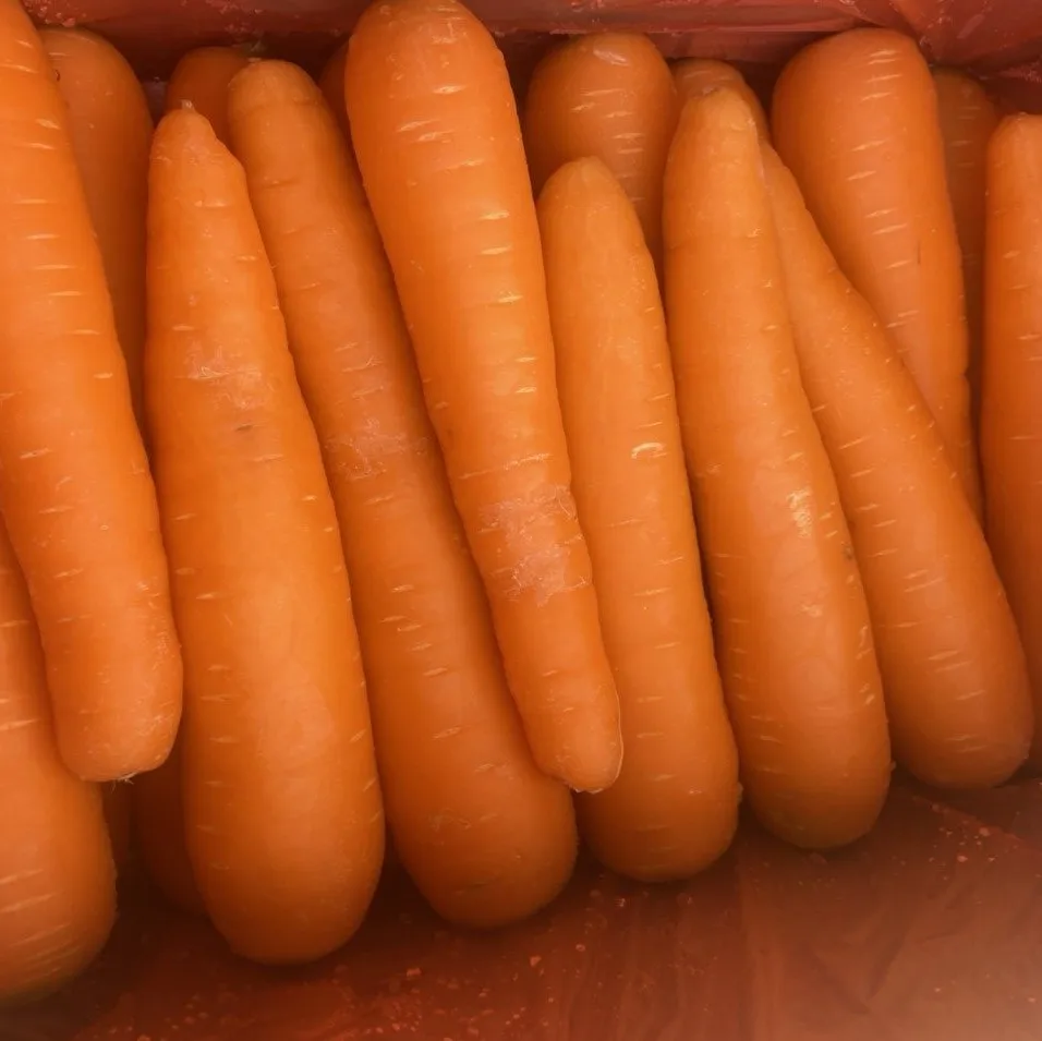 Свежая морковка со стандартами безопасности овощей из Вьетнама