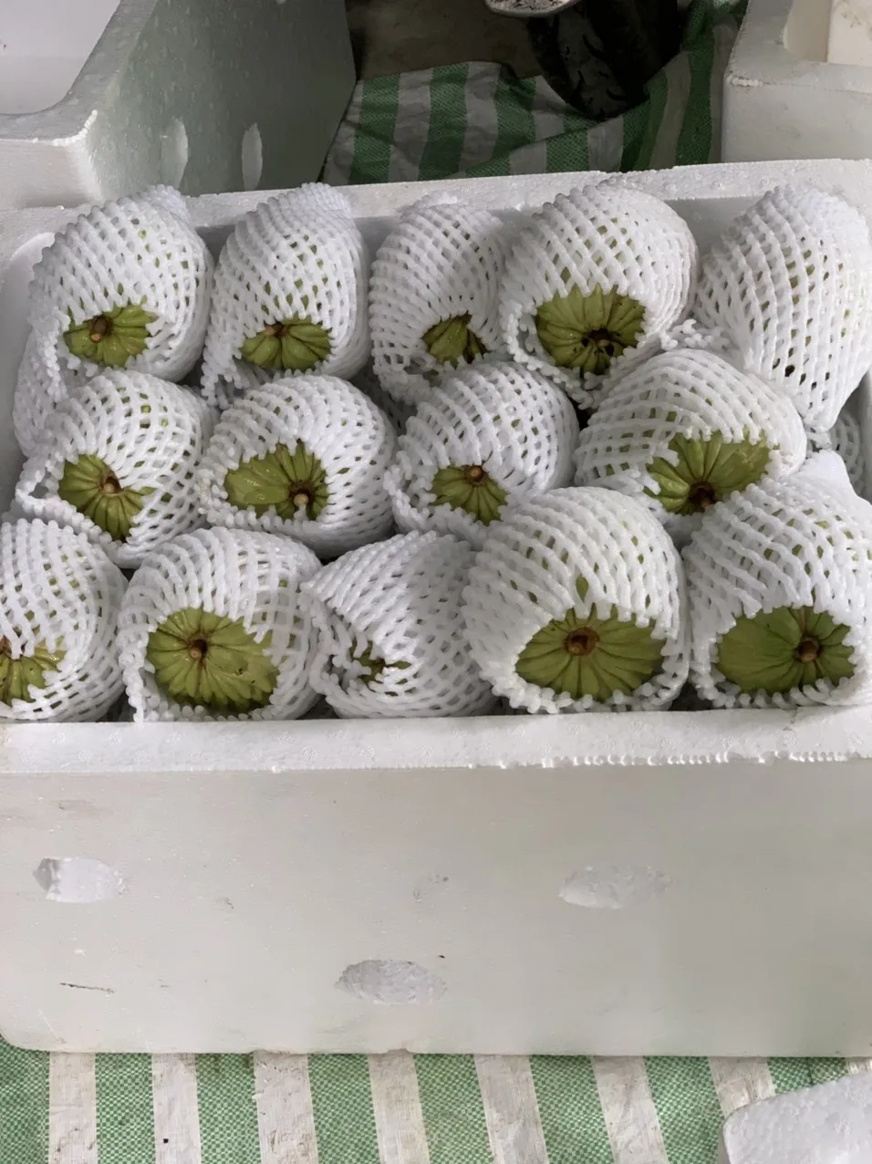 Оптовая цена, высокое качество, обычное культивирование, передовая технология ухода, натуральный сладкий крем яблоко