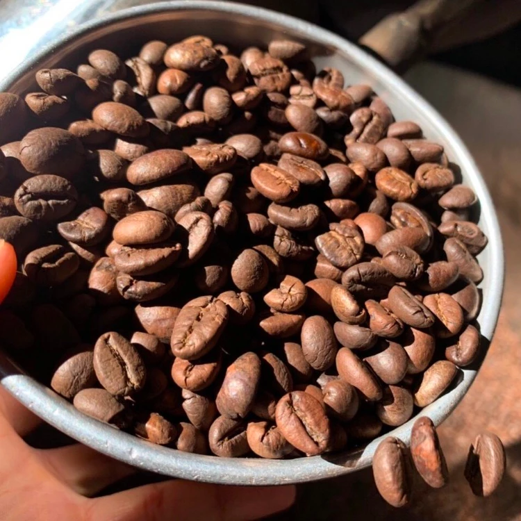 
Arabica/ Robusta coffee beans for coffee shop Private label Good price - Whatsapp/ Viber: +84905010988 