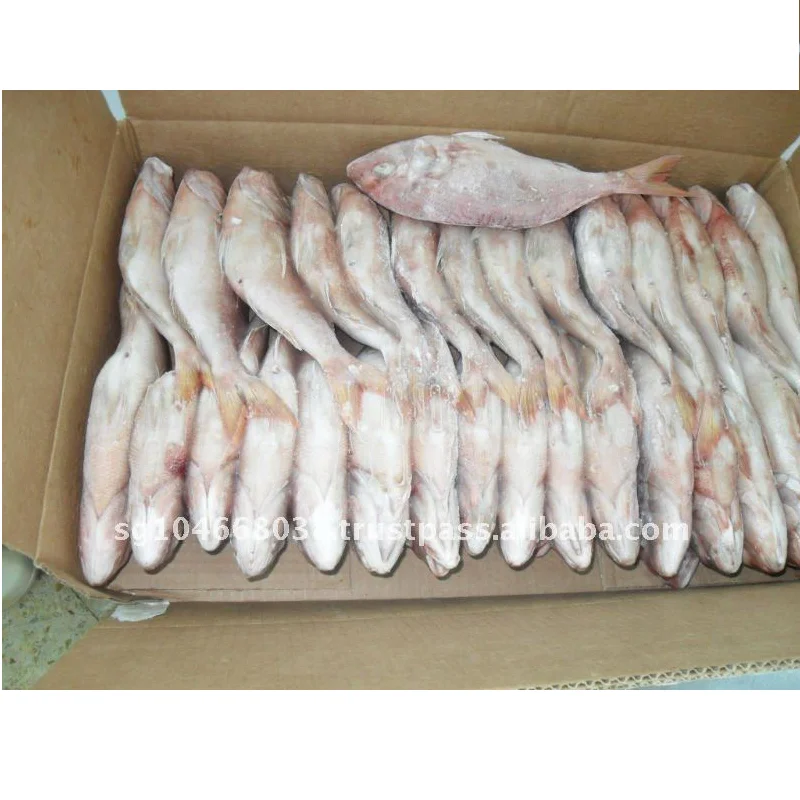 FROZEN EMPEROR FISH Max Custom Sea KOSHER Scaled Removed Emperor Whole Gutted Scale Off Frozen Fish Wholesale From Singapore