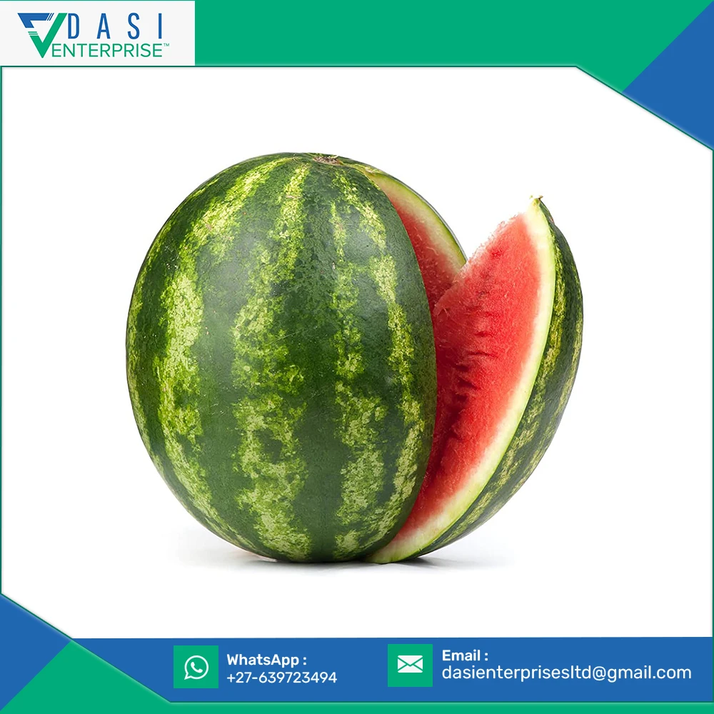 Healthy Beneficial Direct Factory Sale of Natural Fleshy Green Watermelon Fruit For Daily Eatable At Good Price