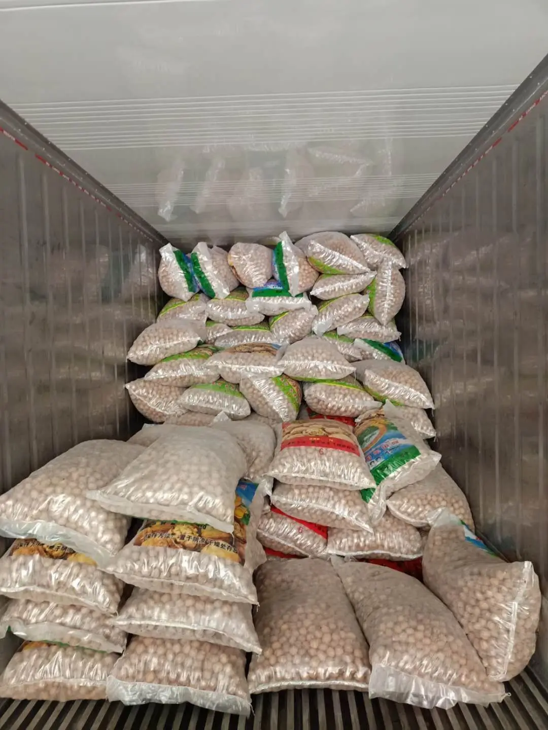 Wholesale Washed 33 Papery Walnut in Shell