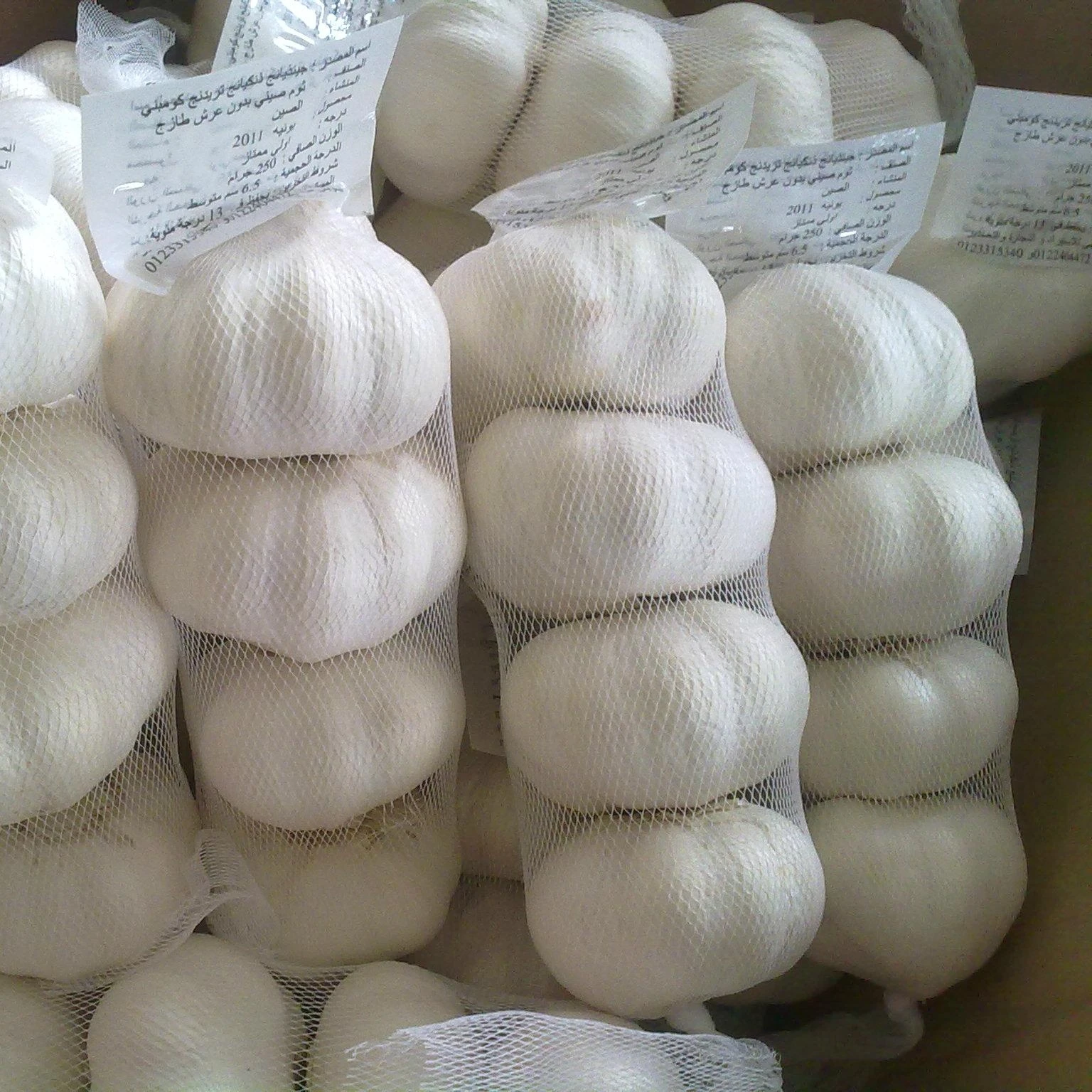 
Fresh white Garlic supply bulk Malaysia Kuwait Garlic sale 
