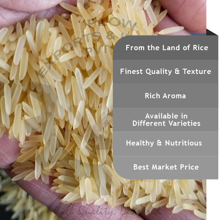 Long-Grain 1121 Golden Sella Basmati Rice at Low Market Price