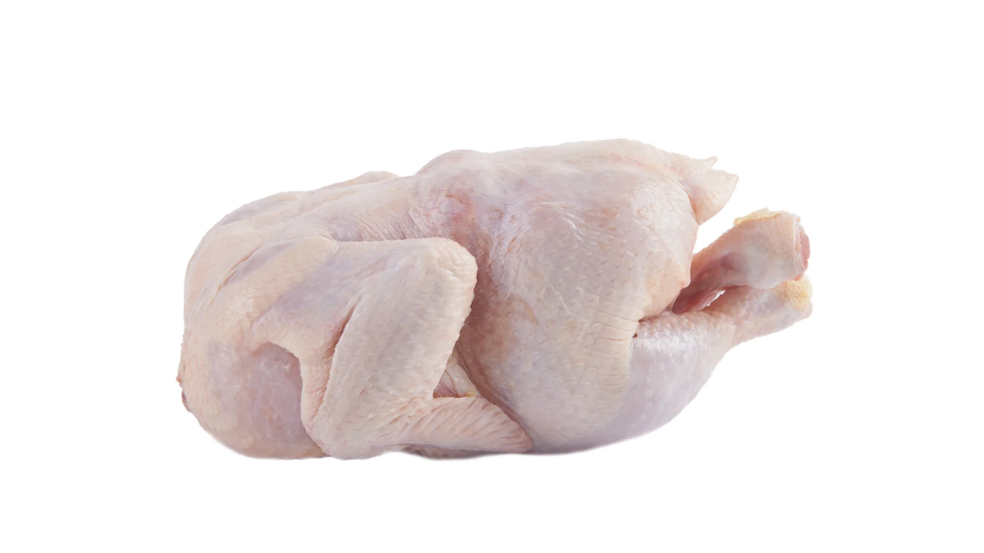 Nutritious Halal Freshly Processed Frozen Whole Chicken, Bone-in, Skin-on,Ready for Global Shipping