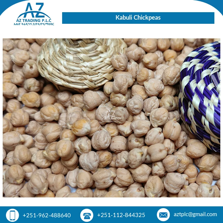 Bulk Quantity Available Dried Organic Ethiopian Kabuli Chick Peas / Chickpeas for Sale