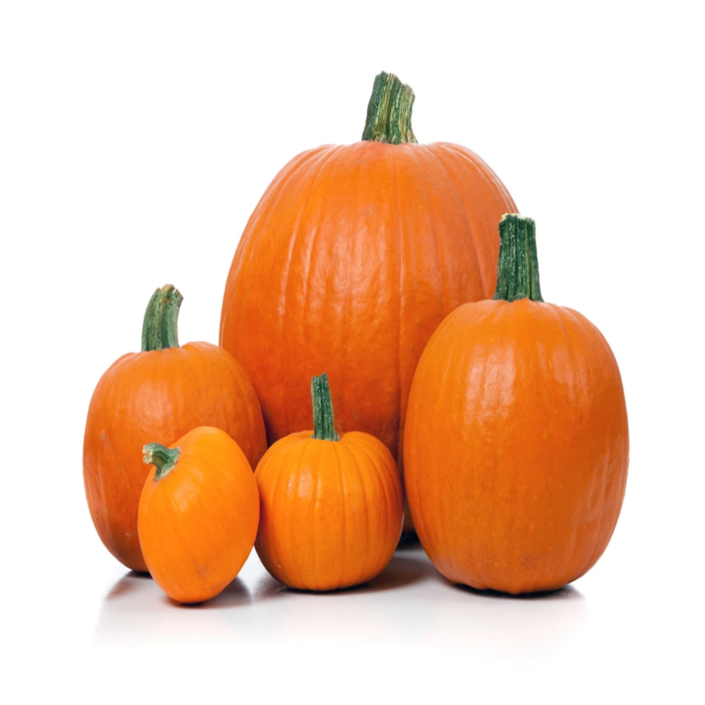 
Organic Fresh Kabocha Squash Pumpkin 