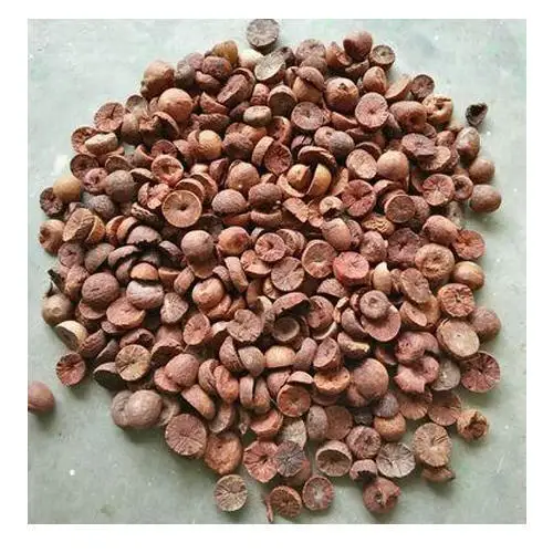
TOP QUALITY ARECA NUT EXPORTER IN INDIA DRIED BETEL NUT AVAILABLE 